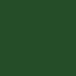 Linocompact Zaans groen