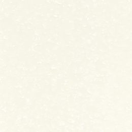 Corian Arrowroot 