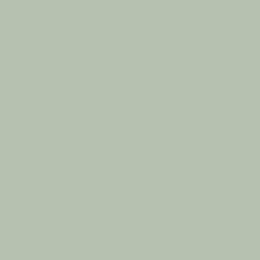 Thermopal spaanplaat U19014