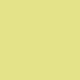 Thermopal spaanplaat U19505