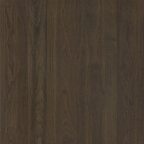 Shinnoki 4.0 ABS band Stardust Walnut