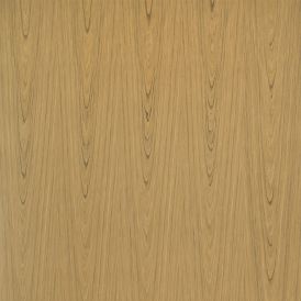 Infinite Wood fineerband Antares Teak