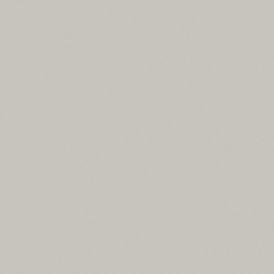 Corian Pearl Grey