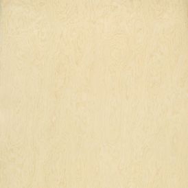 Infinite Wood Decolam Sirius Birch