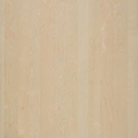 Nordus MDF Snow birch