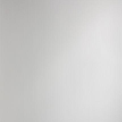 Homapal HPL 444N