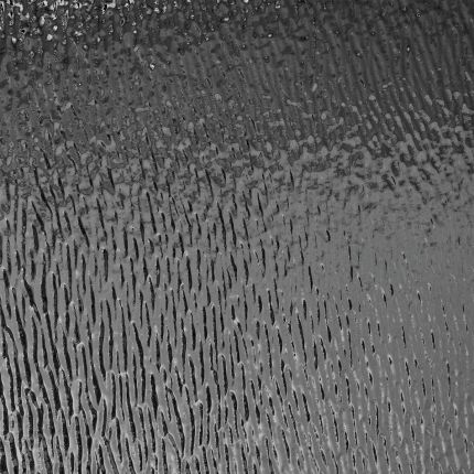 474_124.jpg