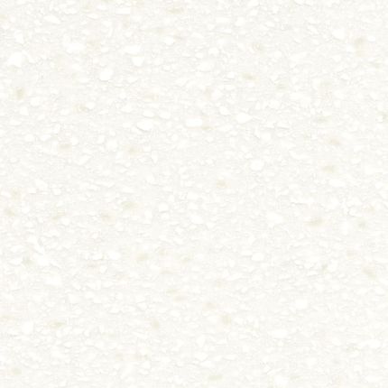 Antarctica.jpg Antarctica.jpg