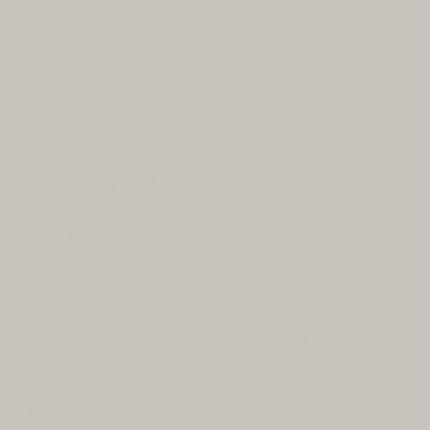 Corian Pearl Grey