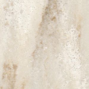 Corian Witch Hazel