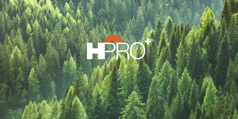 Sfeerfoto voor blogartikel We tellen af naar de HoutPro+