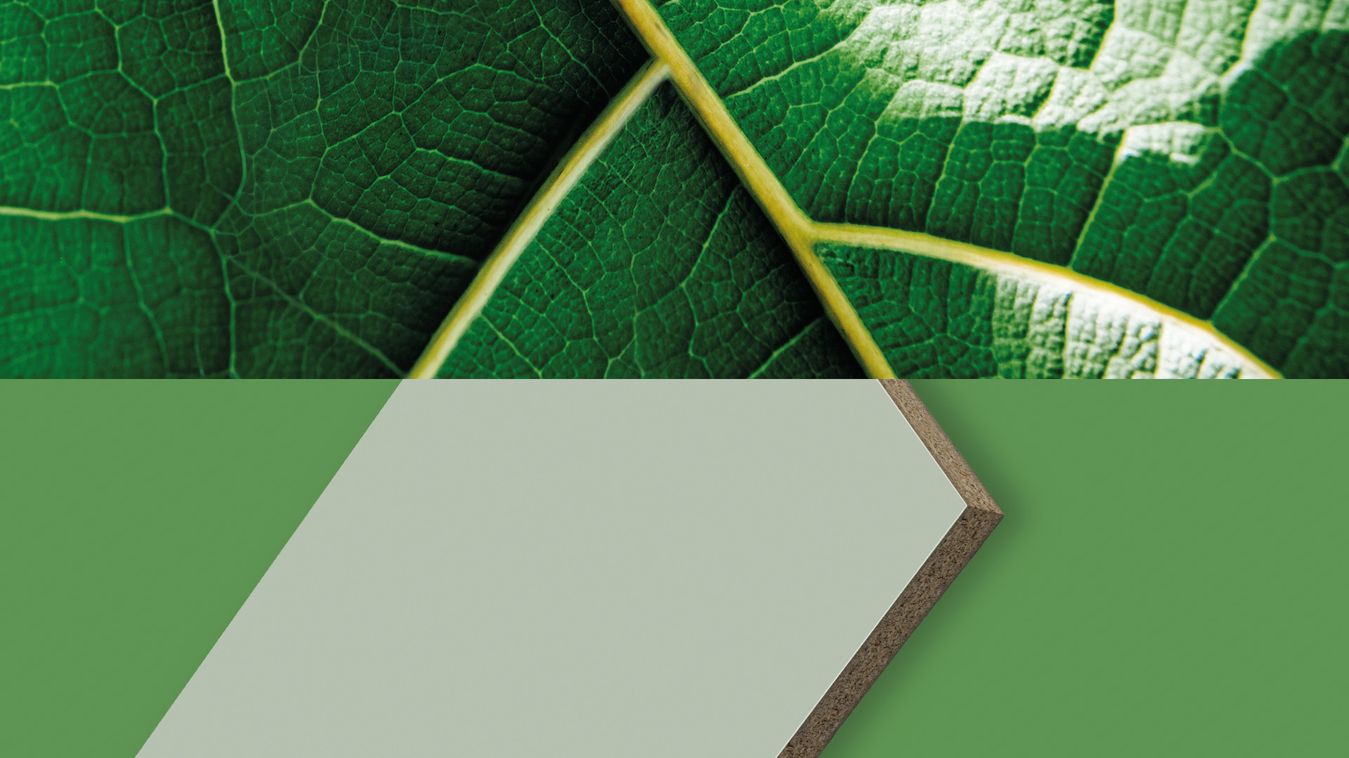 Close-up van een groen blad, gecombineerd met een fragment van de OrganicBoard Pure-plaat in een lichtgroene tint, die duurzaamheid symboliseert.